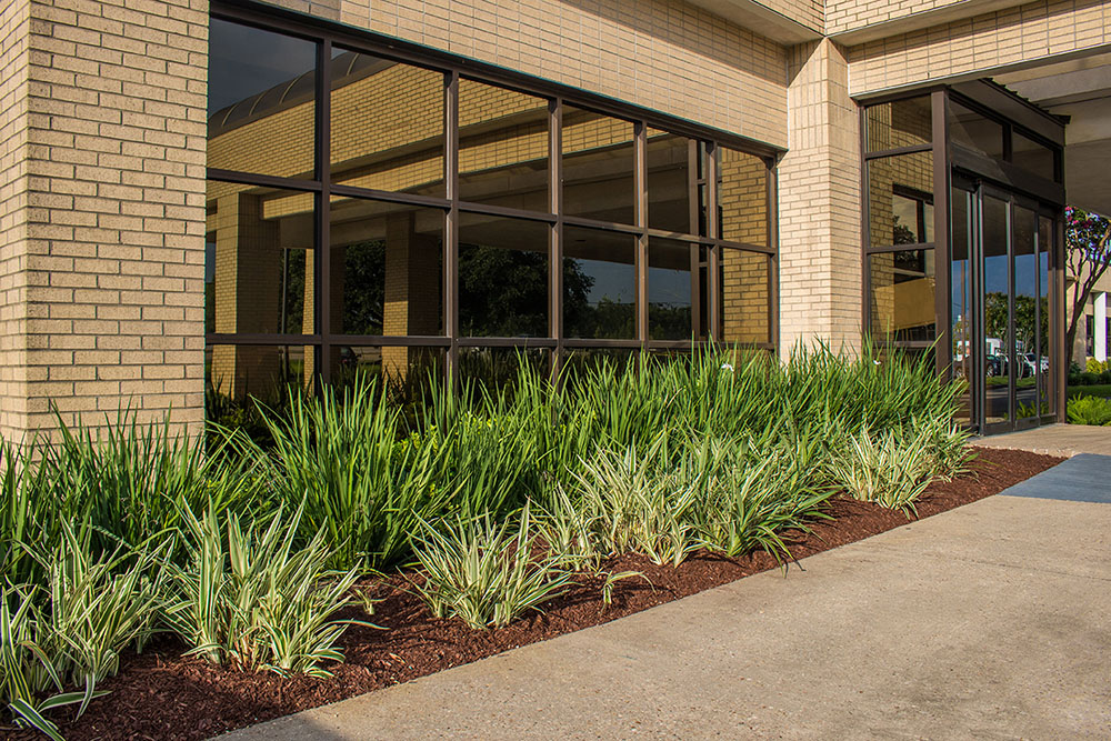 Landry's Landscape Portfolio